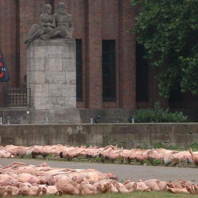 Spencer tunick : thousand of nude people in city