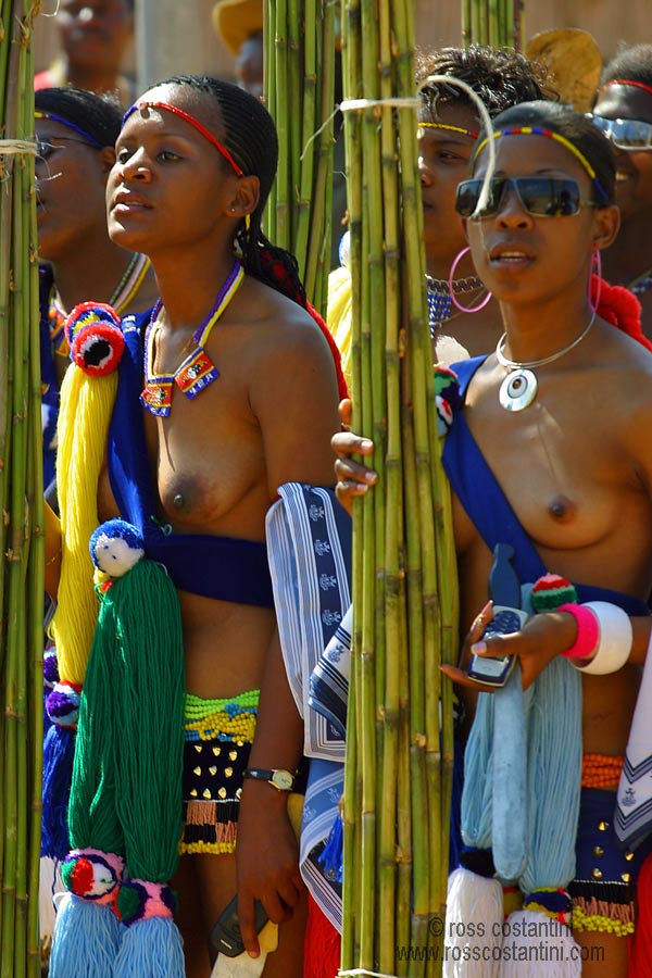 Reed dance