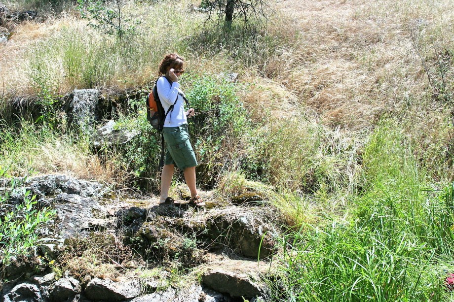 Amateur girl posing in nature 