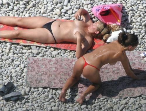 Asses on the beach