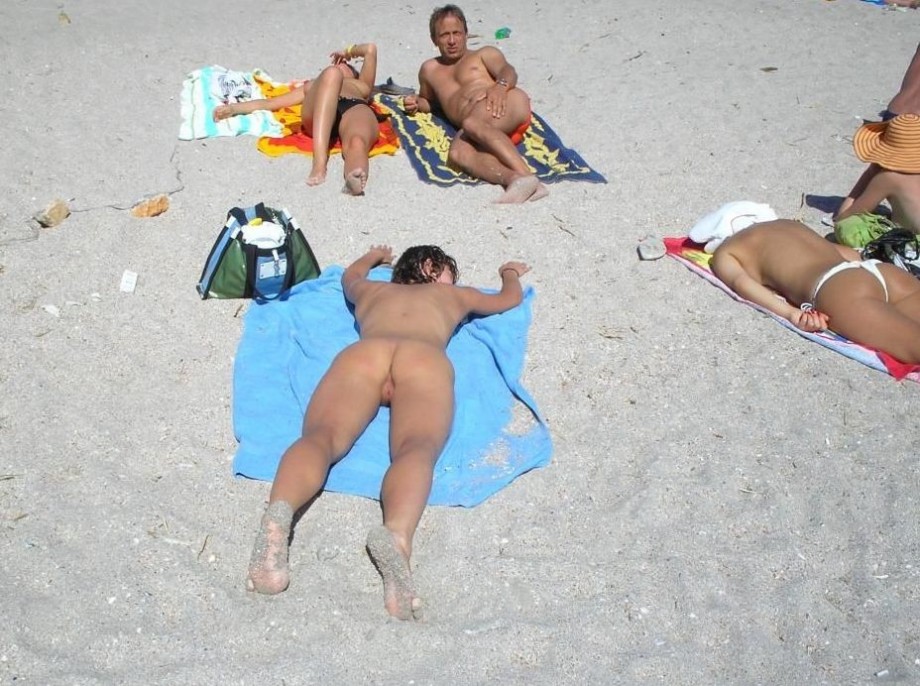 Asses on the beach