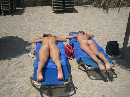 Asses on the beach